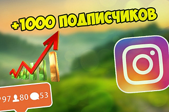 Добавлю 1000 подписчиков в Инстаграм