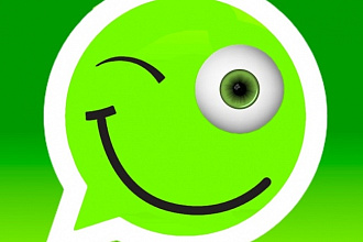 Рассылка WhatsApp сообщений