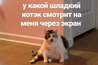 Сделаю Эдит