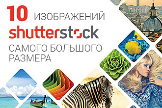 10 изображений с shutterstock в максимальном качестве