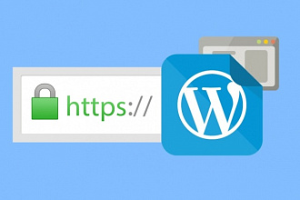Переведу wordpress-сайт на https