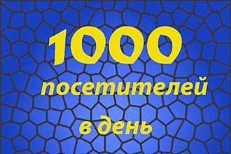 1000 посетителей в течение 30 дней