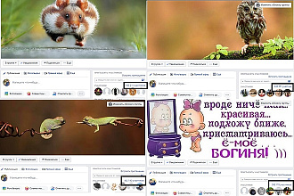 Размещу посты и рекламу на группах, facebook 2.000.000 подписчиков