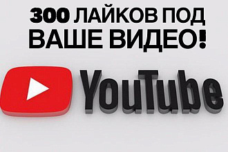 300 лайков от живых людей на ваше видео