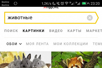 Делаю подборку картинок на любую тематику