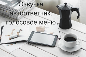 Озвучка автоответчик голосовое меню
