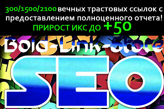 300 вечных трастовых ссылок на сайт с полным отчетом