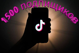 Добавлю 1500 ЖЫВИХ подпищиков на ваш Тик ток аккаунт всёво за 500 руб