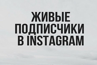 500 русских живых подписчиков