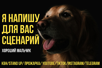 Напишу сценарий YouTube, Instagram, TikTok, КВН, Stand up, Прожарка