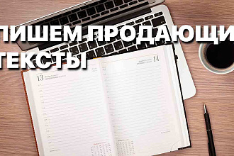 Напишу продающийся текст. Недорого и быстро