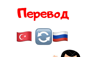 Переведу и напечатаю текст с русского на турецкий,с турецкого на рус