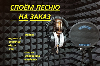 Споём и запишем для Вас песню с мужским вокалом