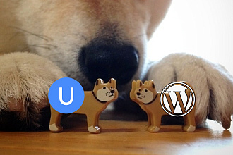Перенос сайта с uCoz на Wordpress