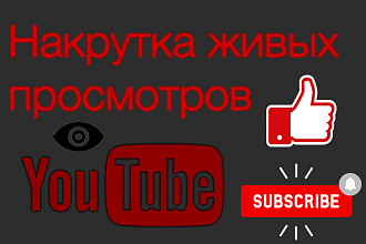 1,000 просмотров с рекламы к вашему видео на Youtube
