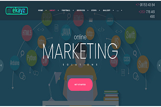 Website development