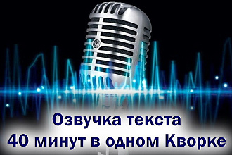 Озвучка, 40 минут за 1 услуга, для информационного видео, аудиокниги