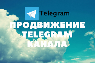300 подписчиков на канал Telegram