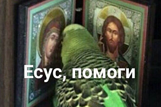 Продающий текст