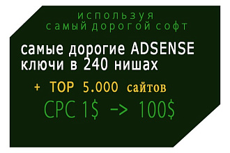 Выгружу Топ сайтов в нише с Adsense блоками и 50 дорогих ключей