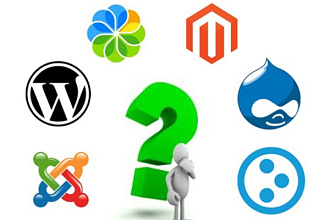 Установлю любую cms
