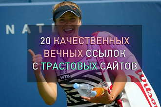 20 качественных ссылок с профилей сайтов, общий ТИЦ 70000+