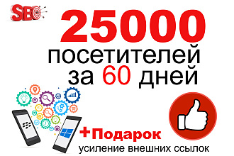 Качественные 25K посетителей на ваш сайт за 60 дней