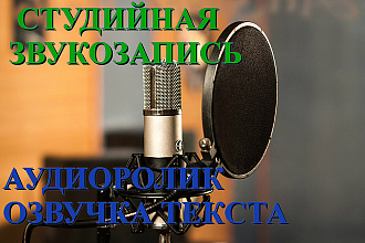 Озвучка текстов, аудиоролик. Голосовое приветствие