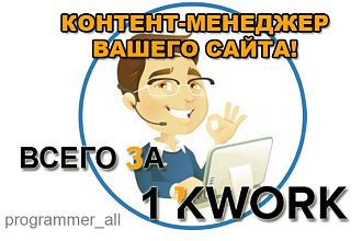 Контент-менеджер сайта на час