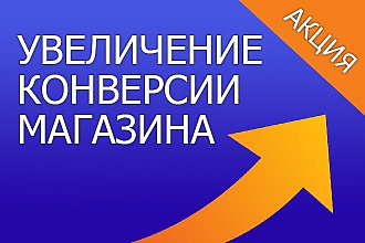 Профессиональный аудит интернет-магазина