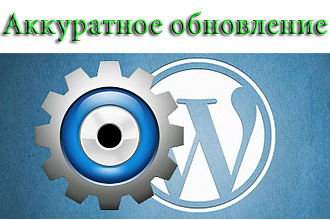 Настройки WordPress - грамотное обновление ядра и плагинов