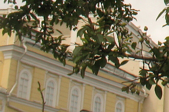 Удалю водяные знаки с фото