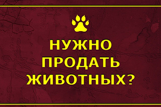 Размещу объявление на 40 зоо сайтах