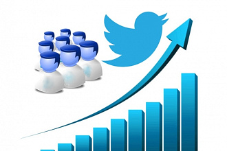 1700 подписчиков на ваш Twitter