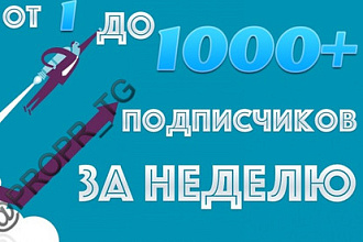 Продвижение и раскрутка в Telegram. Гарантия