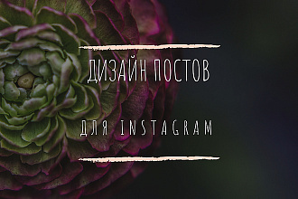 Создам дизайн постов в Instagram