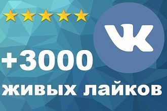 Лайки вк 3000 лайков недорого быстро , качественно