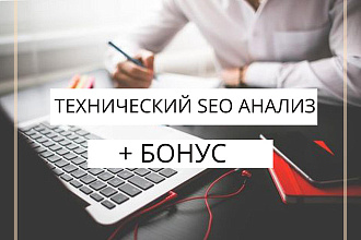 Аудит SEO оптимизации ИМ + бонус