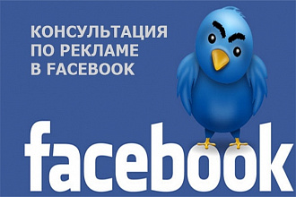 Проведу консультацию по настройке рекламы в Facebook