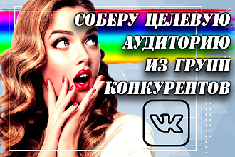 Парсер Вконтакте. Сбор Целевой аудитории с групп конкурентов vkontakte