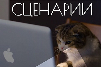 Напишу уникальный сценарий мероприятия