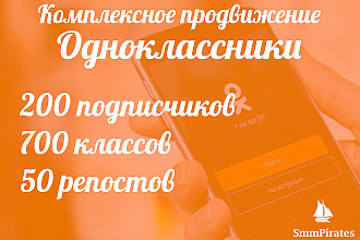 Одноклассники. Комплексное продвижение
