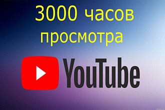 3000 часов просмотра на ютуб + бонус. Гарантия
