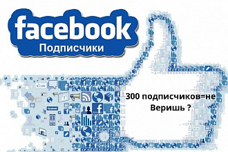 300 подписчиков в паблике на Facebook