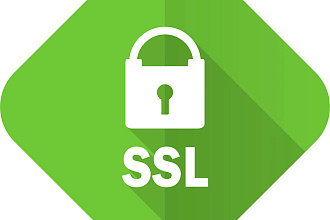Установка SLL сертификата и подключение Метрики