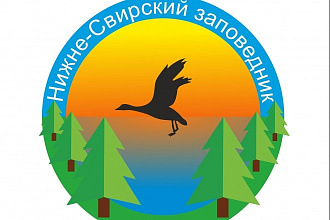 Создам логотип с нуля . Большой опыт работы