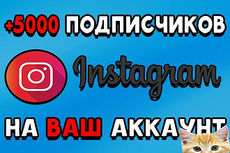 Подписчики Instagram