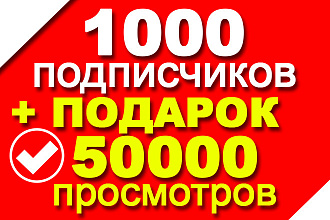1000 подписчиков на Instagram в подарок 50000 просмотров видео