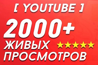 Просмотры на ваше видео в YouTube от 2000 до 3000
