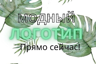 Создам ваш логотип за вас